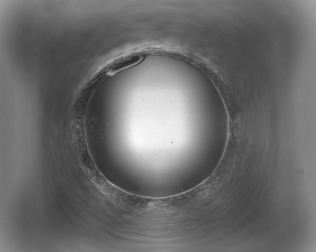 X0000067331496200604071311