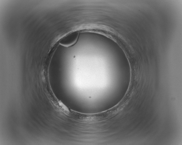 X0000067331497200604071311