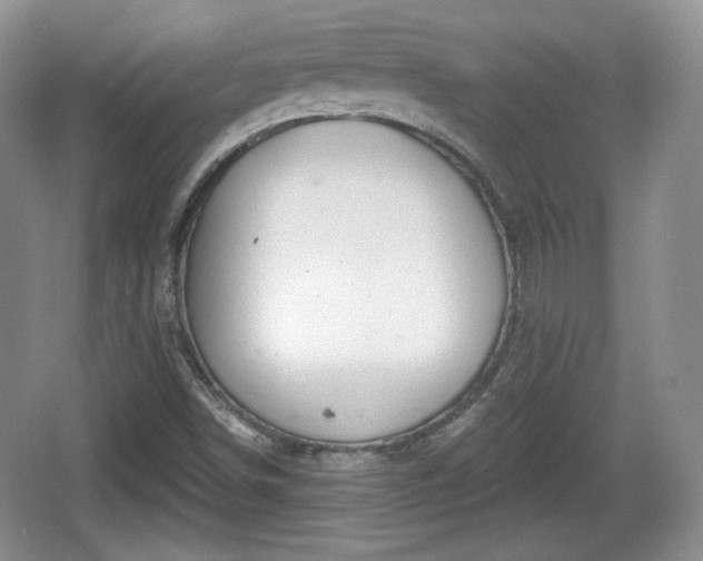 X0000067331498200604071311