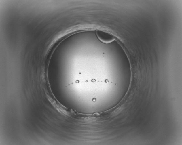 X0000067331499200604071311