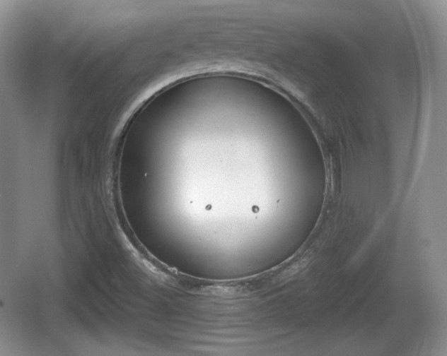 X0000067331500200604071311