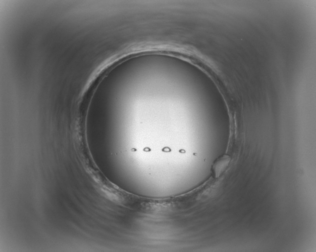 X0000067331501200604071311