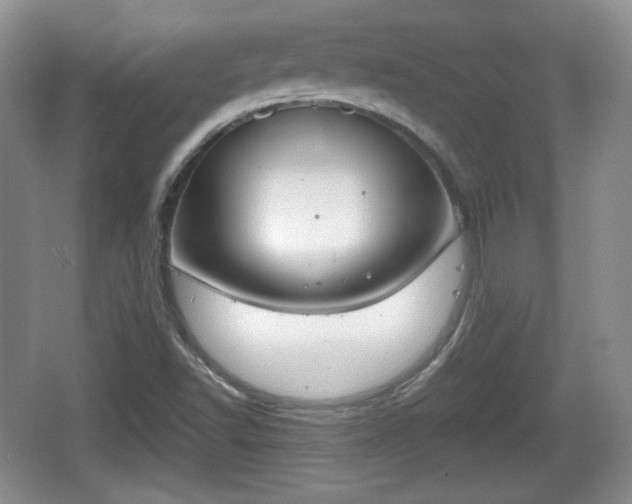 X0000067331502200604071311