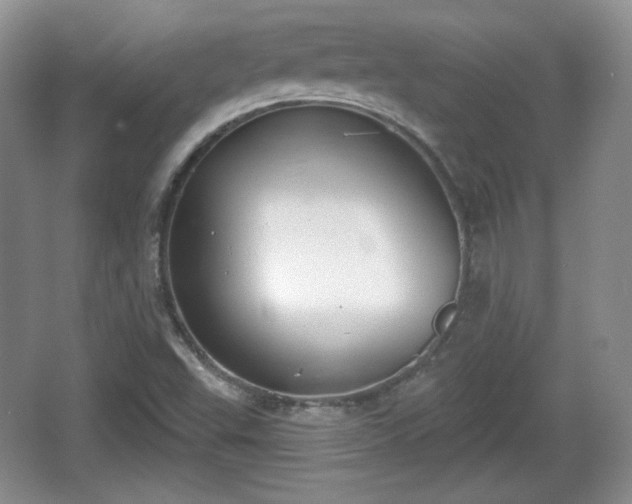 X0000067331503200604071312