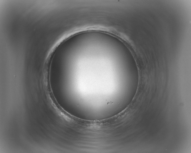 X0000067331504200604071312