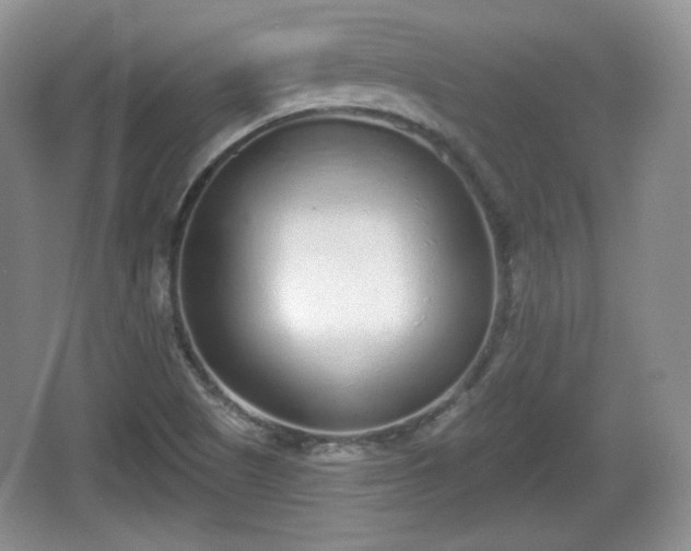 X0000067331505200604071312