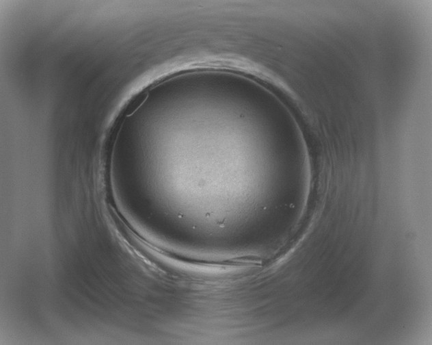 X0000067331506200604071312