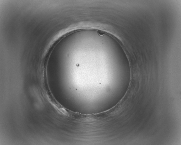 X0000067331507200604071312