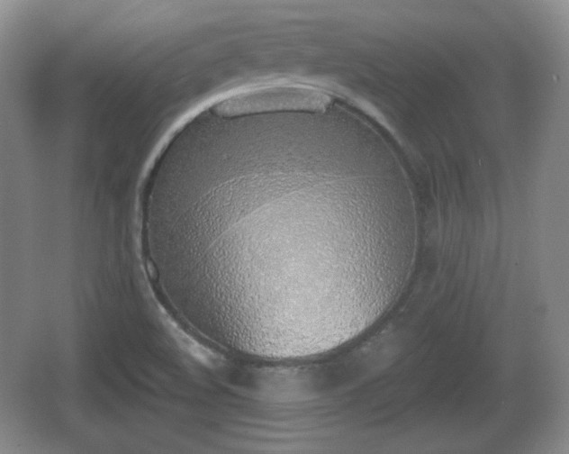 X0000067331508200604071312