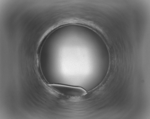 X0000067331509200604071312