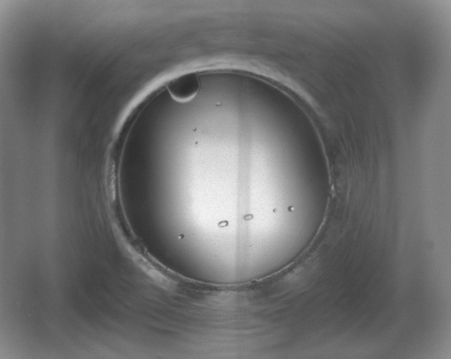 X0000067331510200604071312