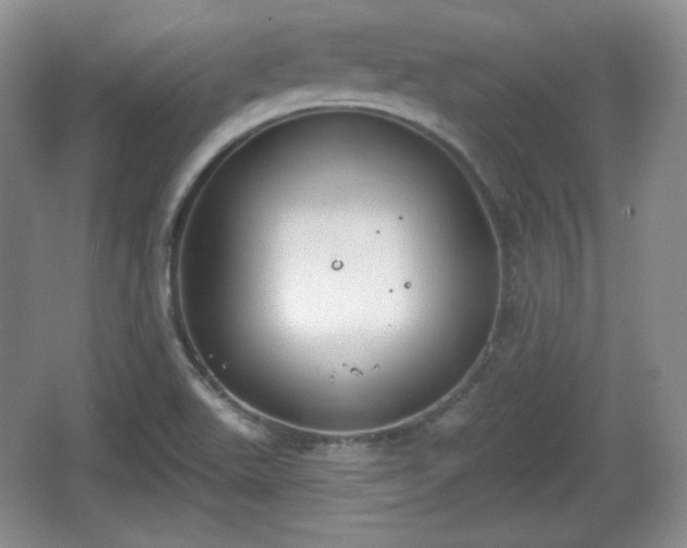 X0000067331511200604071312