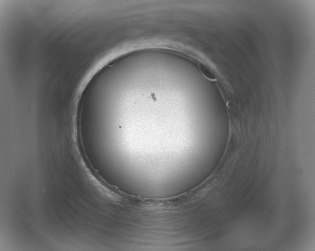 X0000067331512200604071312