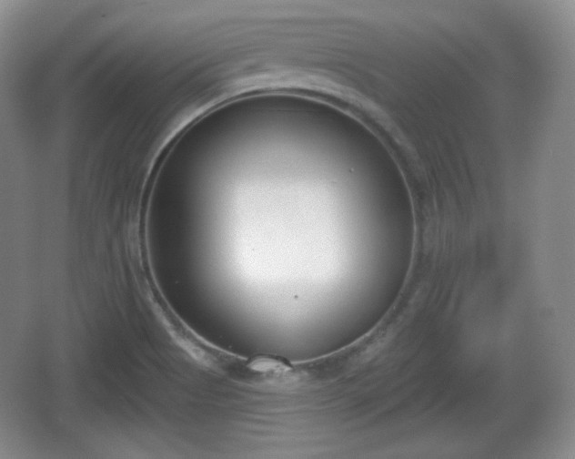 X0000067331513200604071312