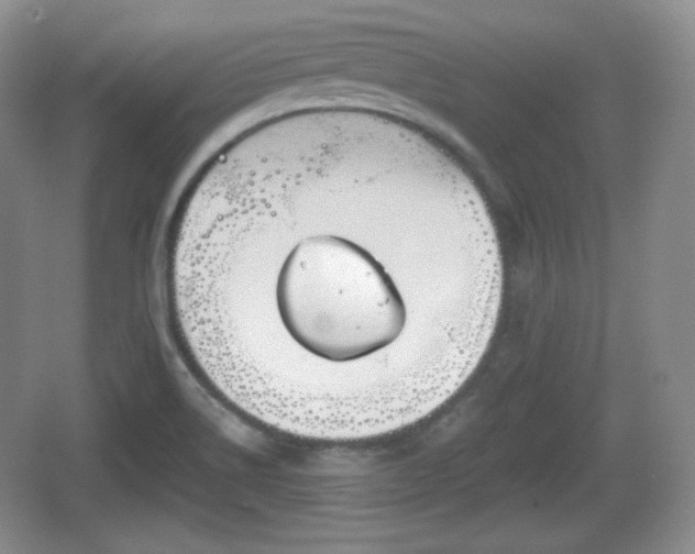 X0000067331514200604071312