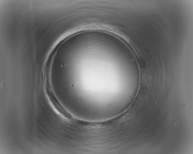 X0000067331515200604071312