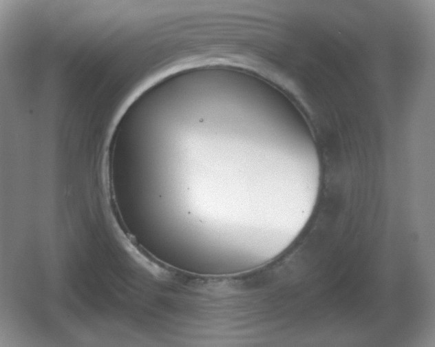 X0000067331516200604071312