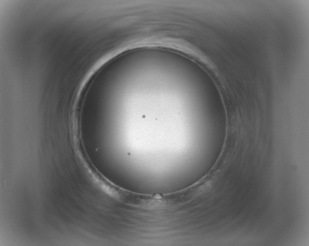 X0000067331517200604071312