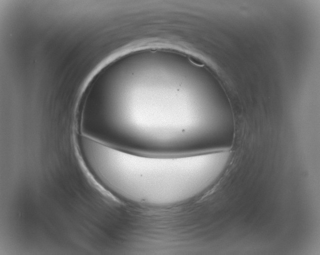 X0000067331518200604071312