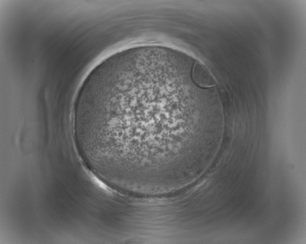 X0000067331519200604071312