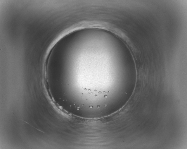 X0000067331520200604071312