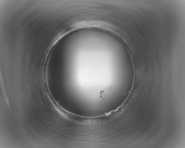 X0000067331521200604071312