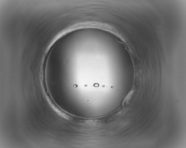 X0000067331523200604071312