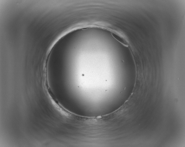 X0000067331524200604071312