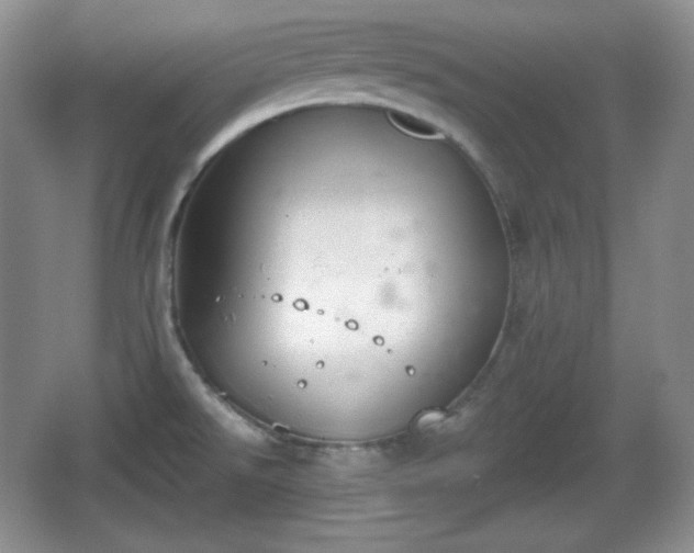 X0000067331526200604071312