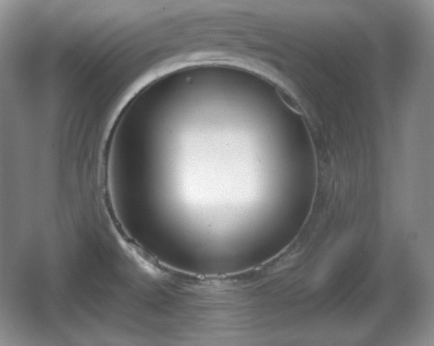 X0000067331527200604071312