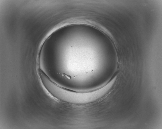 X0000067331528200604071312