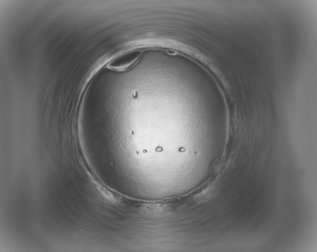 X0000067331529200604071312