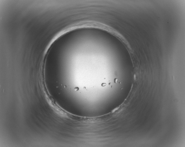 X0000067331530200604071312