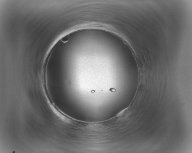 X0000067331531200604071312