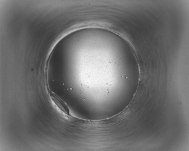 X0000067331532200604071312