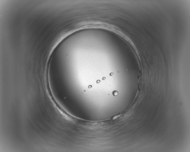 X0000067331533200604071312