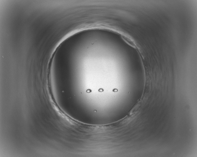 X0000067331534200604071312