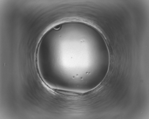 X0000067331535200604071312