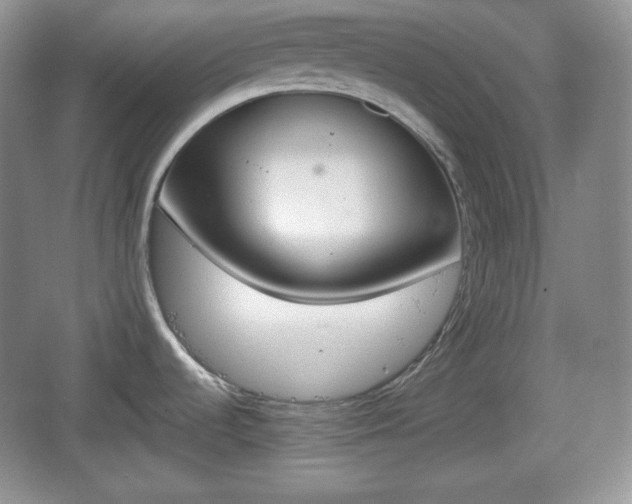 X0000067331536200604071312