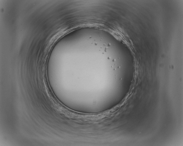 X0000067330001200604131712