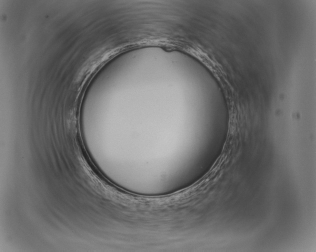 X0000067330002200604131712