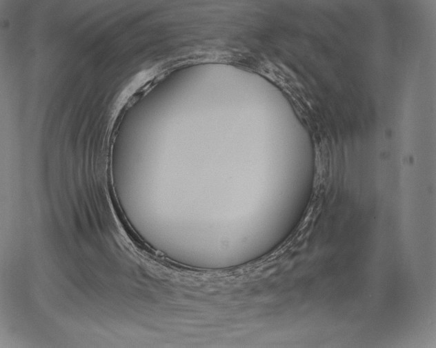 X0000067330003200604131712