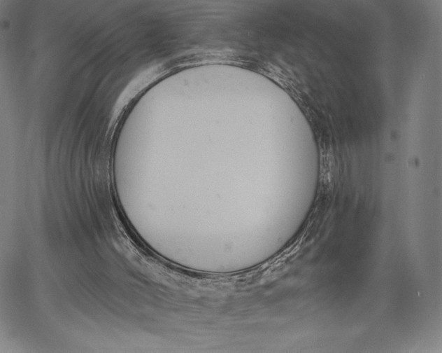 X0000067330004200604131712