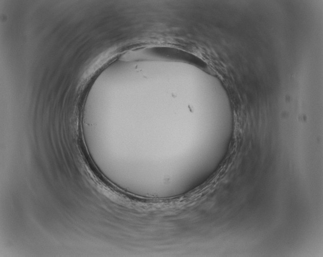 X0000067330005200604131712