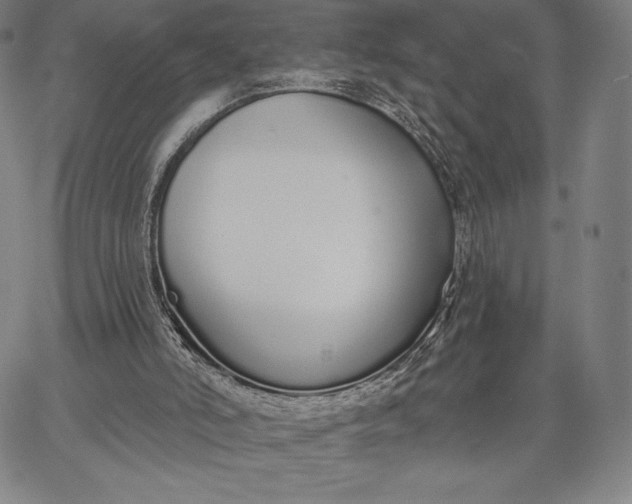 X0000067330006200604131712