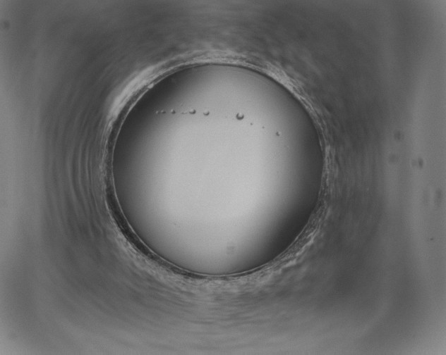 X0000067330007200604131712