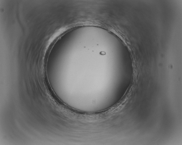 X0000067330008200604131712