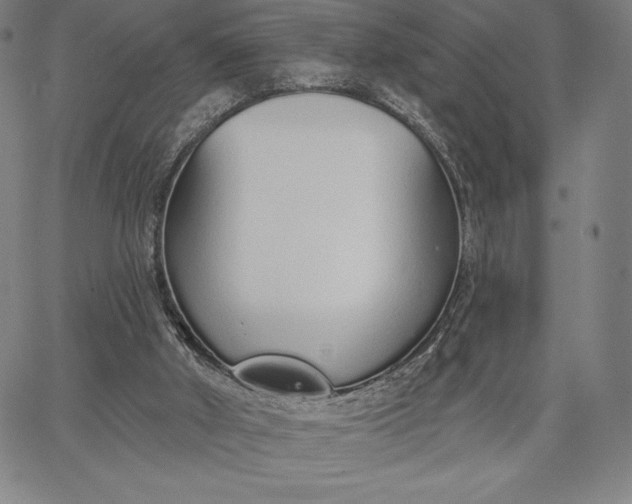 X0000067330010200604131712