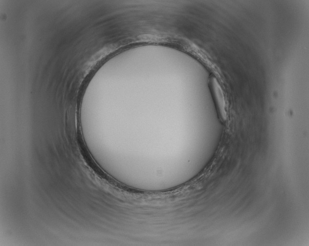 X0000067330011200604131712