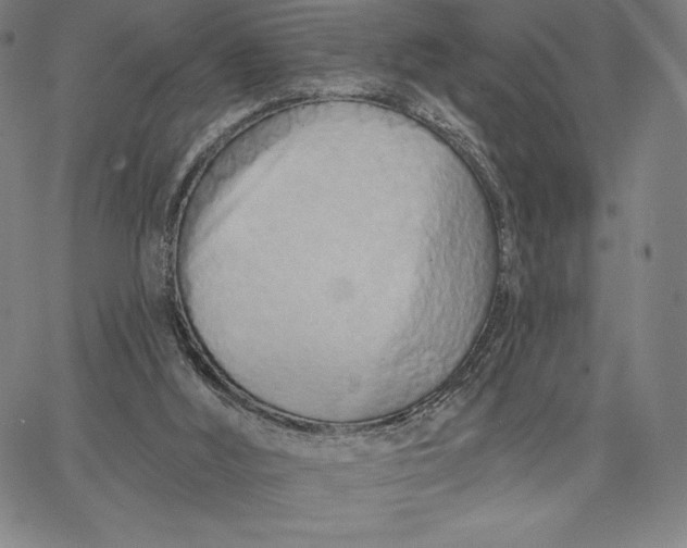 X0000067330012200604131712